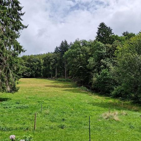 Appartamento Bellavista Badenweiler Esterno foto
