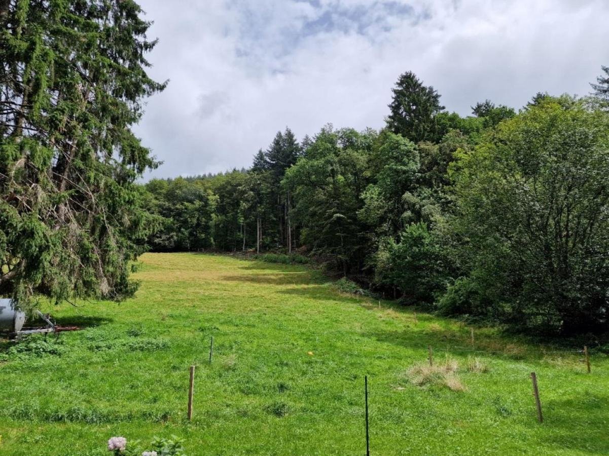Appartamento Bellavista Badenweiler Esterno foto